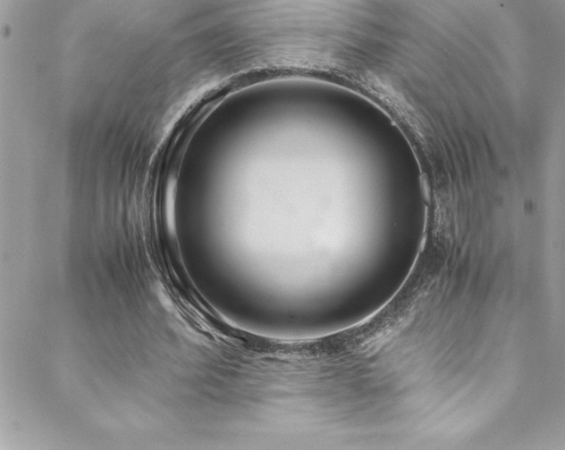 X0000089410580200706151254