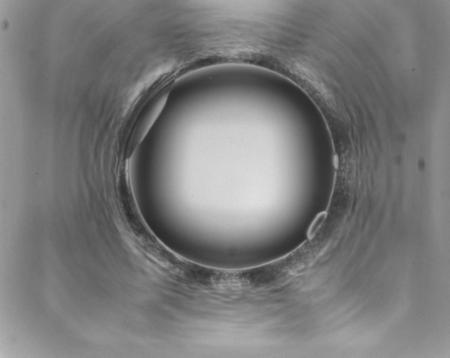 X0000089410587200706151254