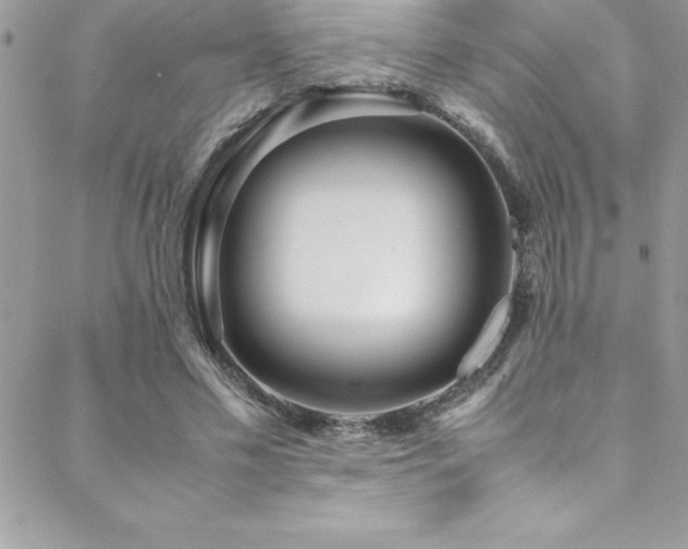 X0000089410589200706151254