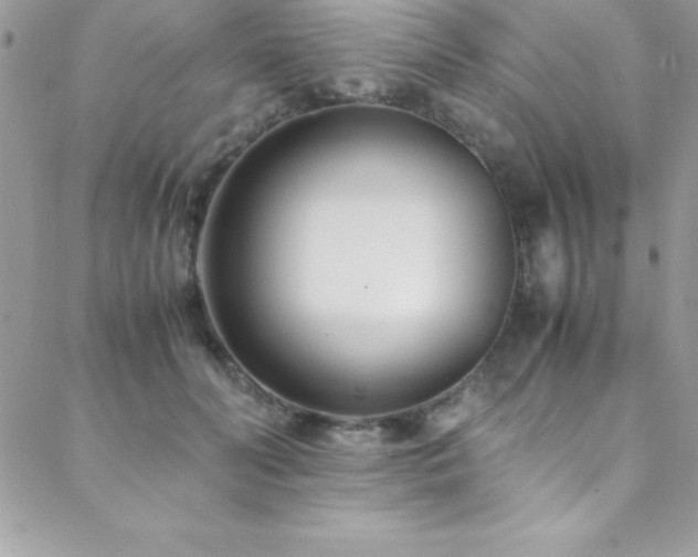 X0000089410606200706151253