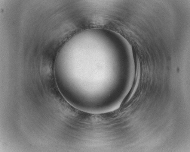 X0000089410608200706151253