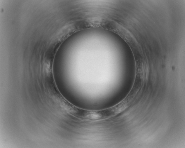 X0000089410610200706151253