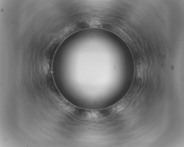 X0000089410618200706151253