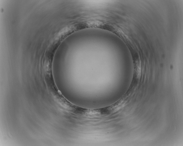 X0000089410619200706151253