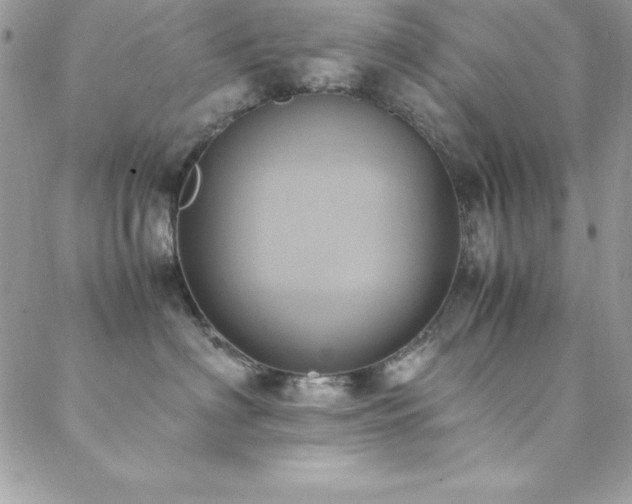 X0000089410622200706151253