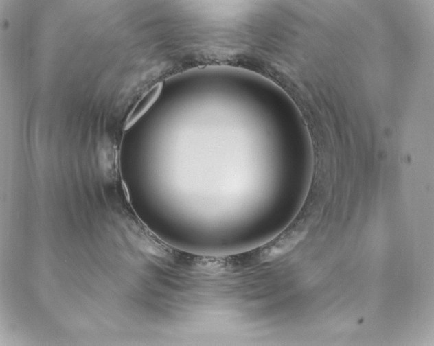 X0000089410624200706151253