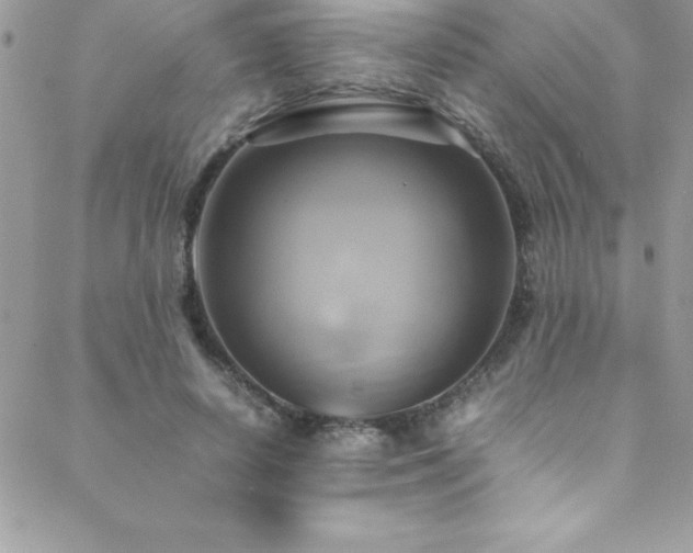 X0000089410642200706151252