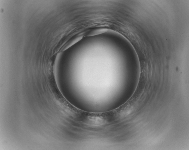 X0000089410649200706151253