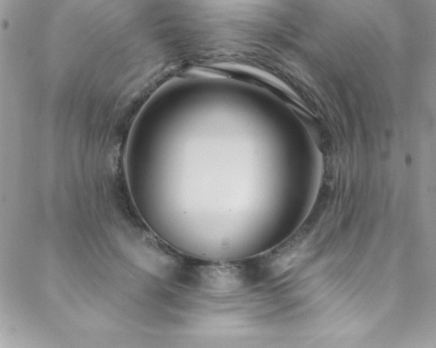 X0000089410652200706151253