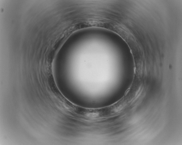 X0000089410653200706151253