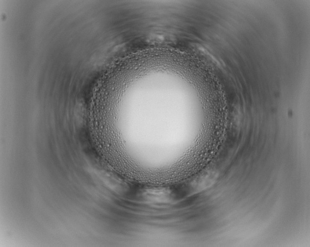X0000089410659200706151253