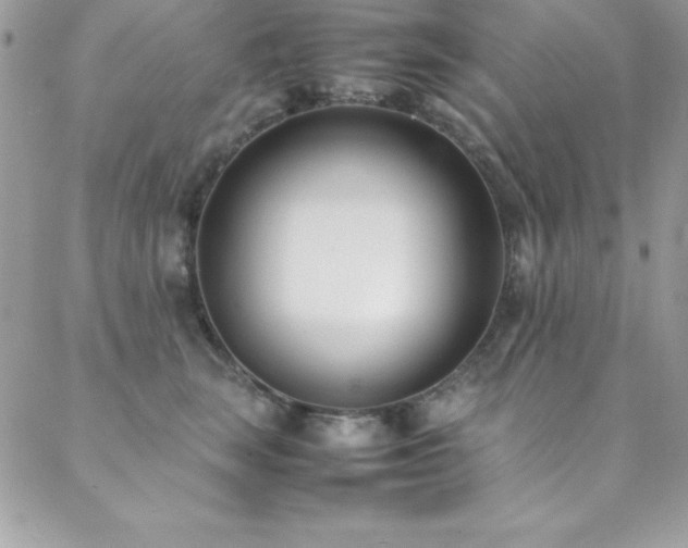 X0000089410663200706151253