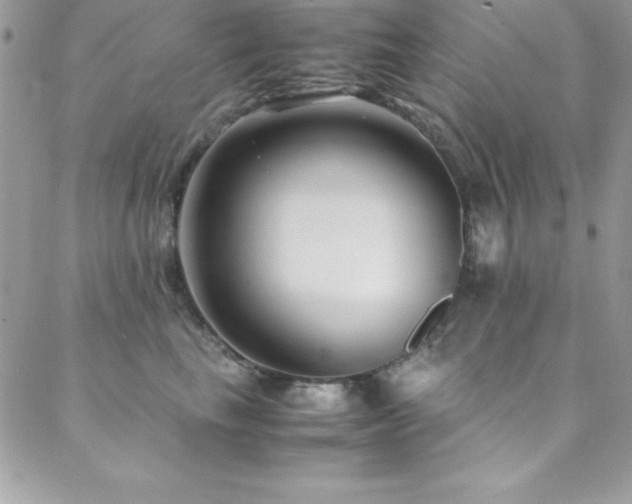 X0000089410665200706151253