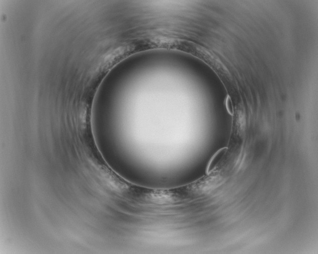 X0000089410668200706151253