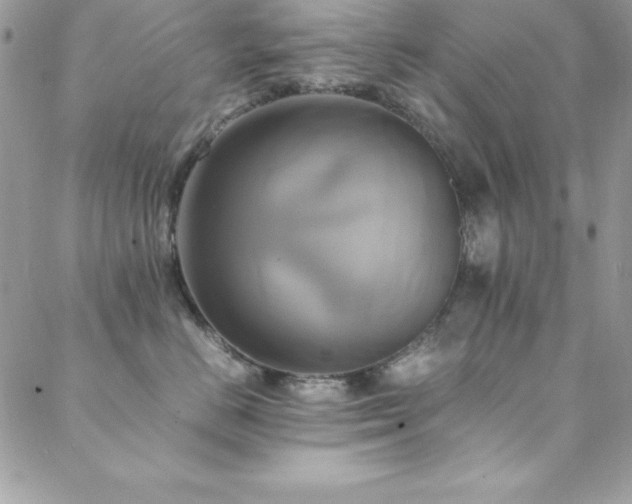 X0000089410670200706151253