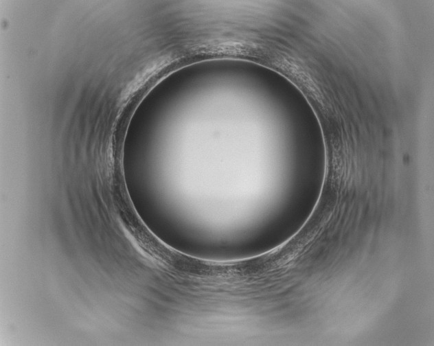 X0000089410674200706151252