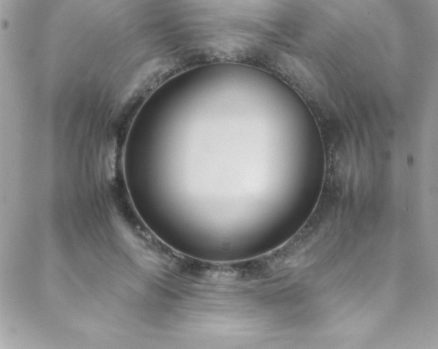 X0000089410694200706151252
