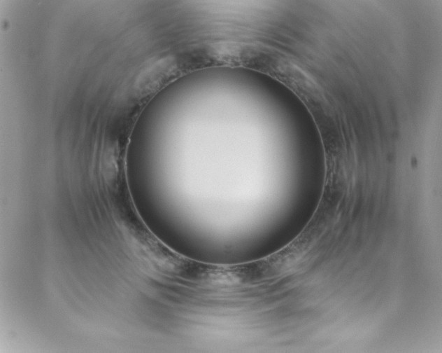 X0000089410702200706151252