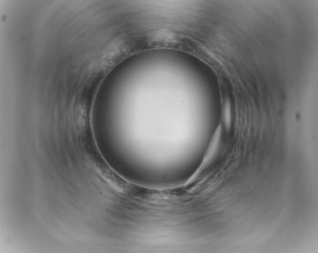 X0000089410708200706151252
