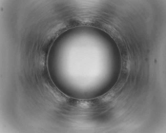 X0000089410710200706151252