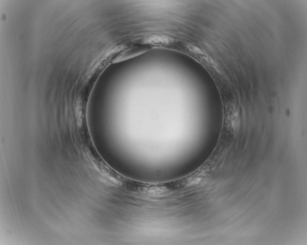 X0000089410716200706151251