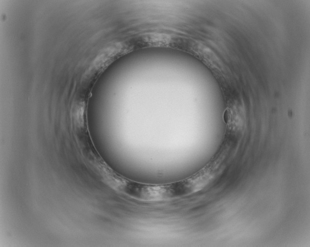 X0000089410717200706151251