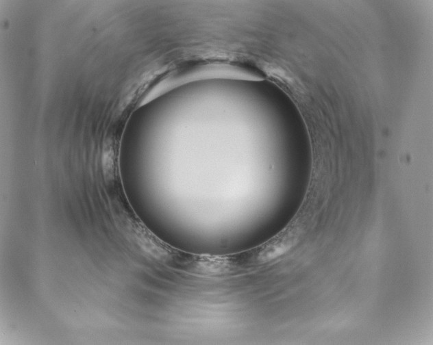 X0000089410720200706151251