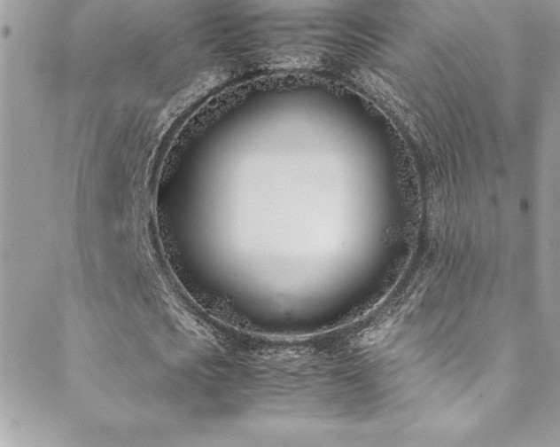X0000089410721200706151251