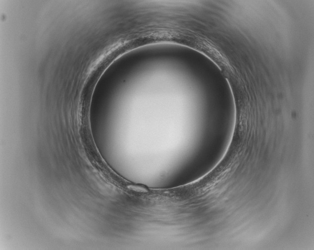 X0000089410722200706151251