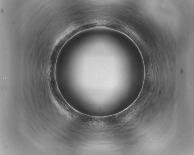 X0000089410730200706151251