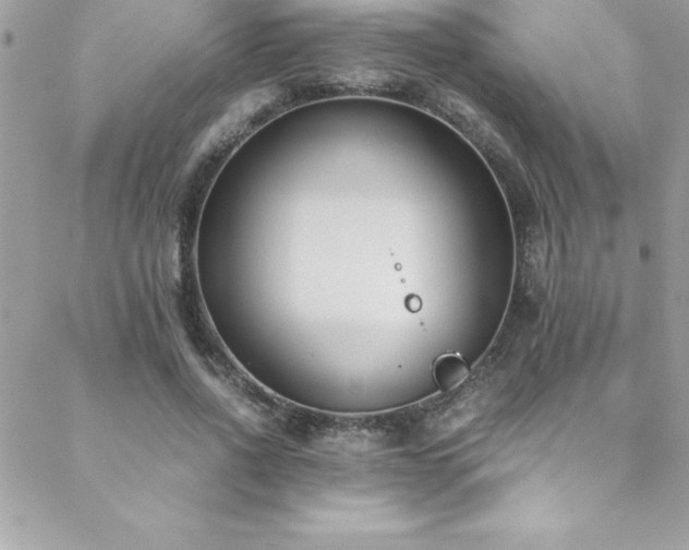 X0000089410734200706151251