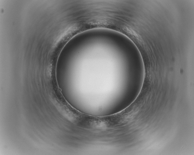 X0000089410735200706151251