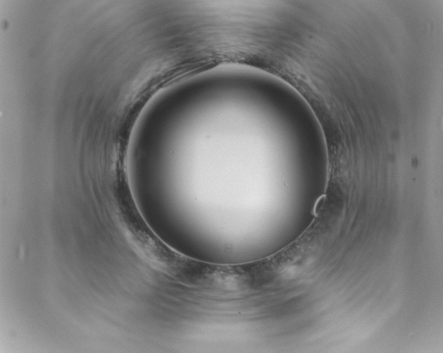 X0000089410742200706151251