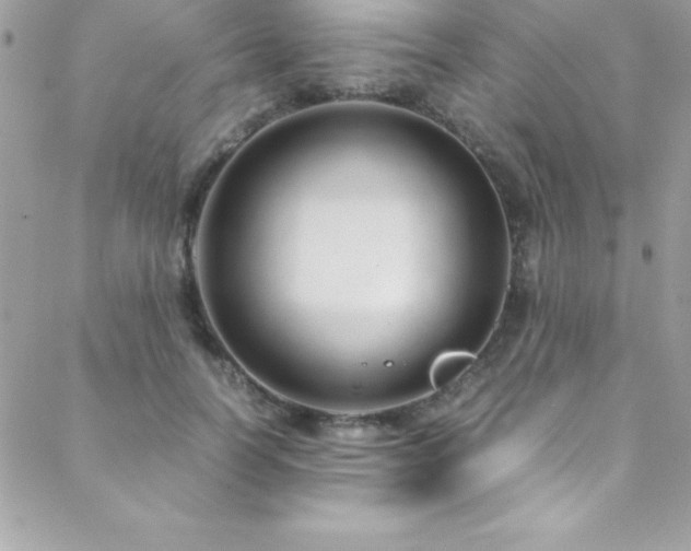 X0000089410746200706151251