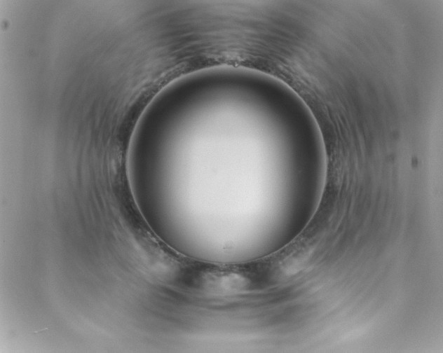 X0000089410747200706151251