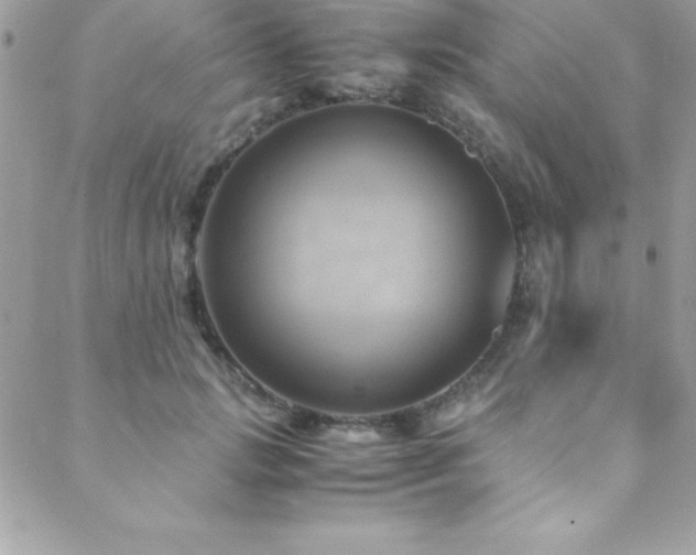 X0000089410749200706151251