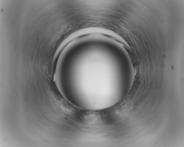 X0000089410750200706151251