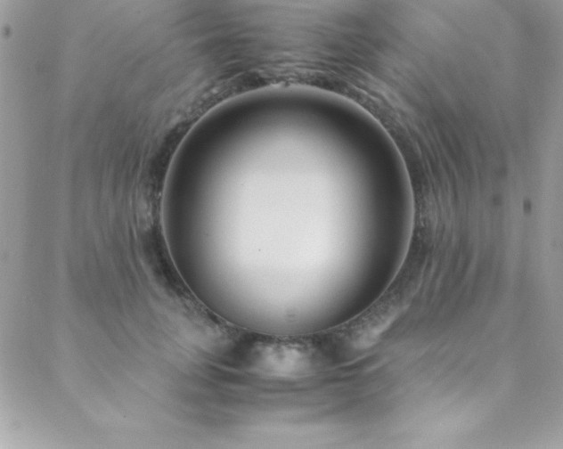 X0000089410751200706151251
