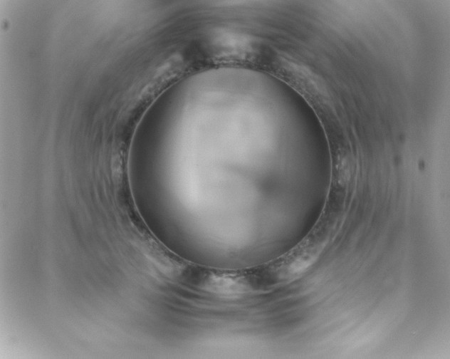 X0000089410753200706151251