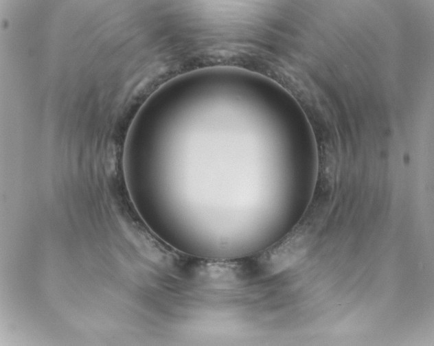 X0000089410758200706151251