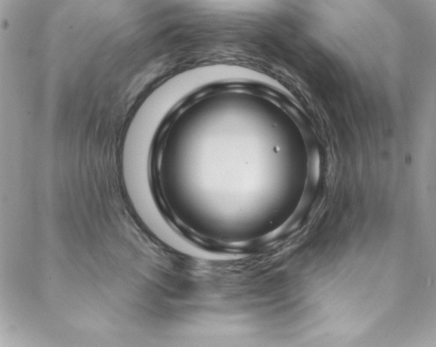 X0000089410762200706151251
