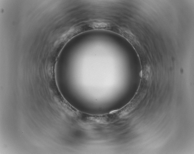 X0000089410763200706151251