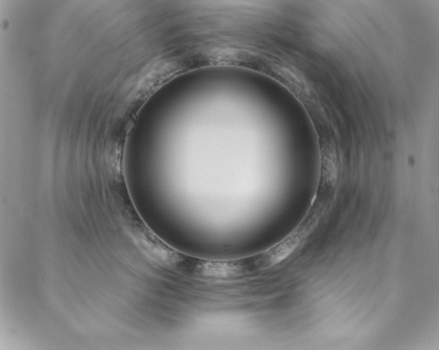X0000089410766200706151251