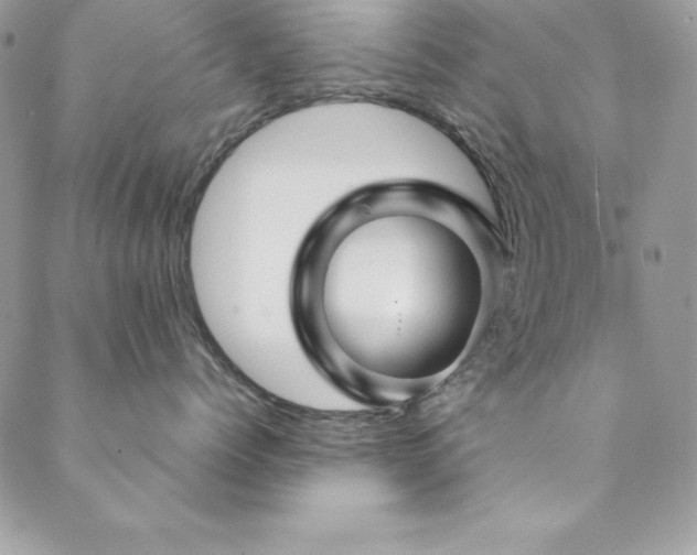 X0000089410768200706151251