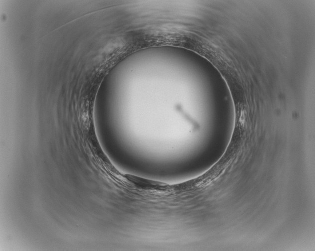 X0000089410771200706151251