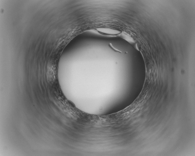 X0000089410772200706151251