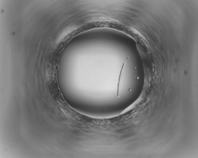 X0000089410775200706151251