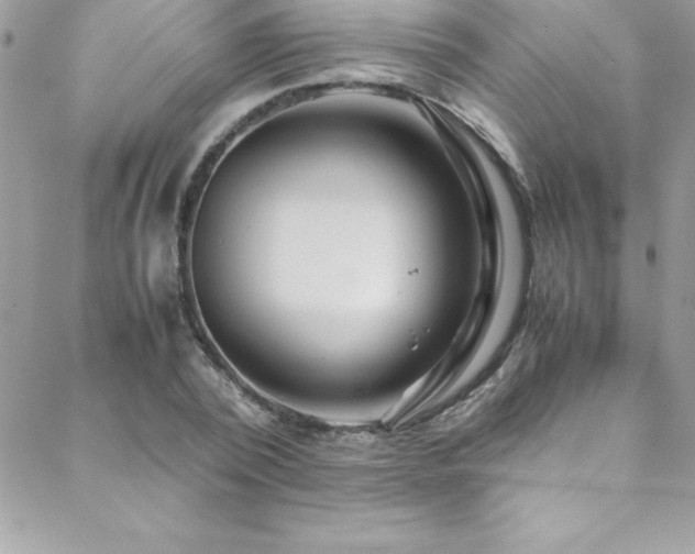X0000089410784200706151250