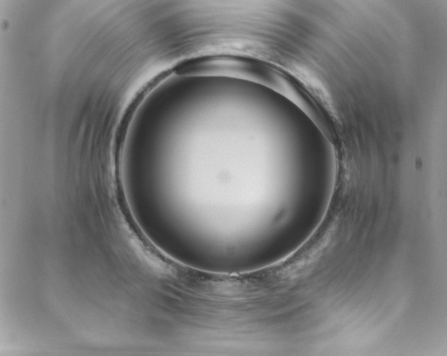 X0000089410792200706151250