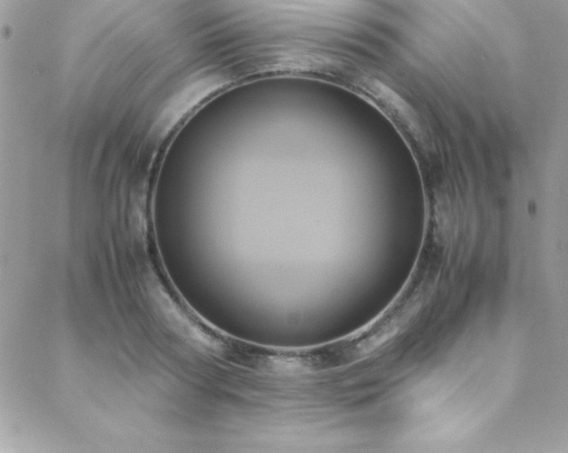 X0000089410794200706151250